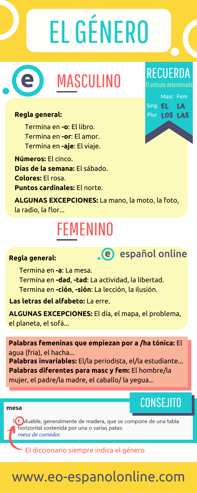EL GÉNERO: FEMENINO / MASCULINO – EO Español Online